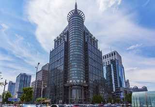 安微花卉哪有卖