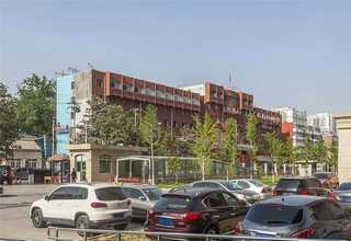 小区灭虫害服务